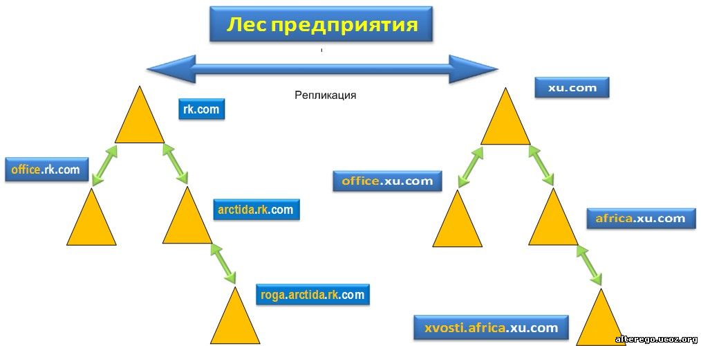 Структура домена